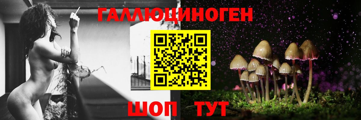 Галлюциногенные грибы прущие грибы Свободный